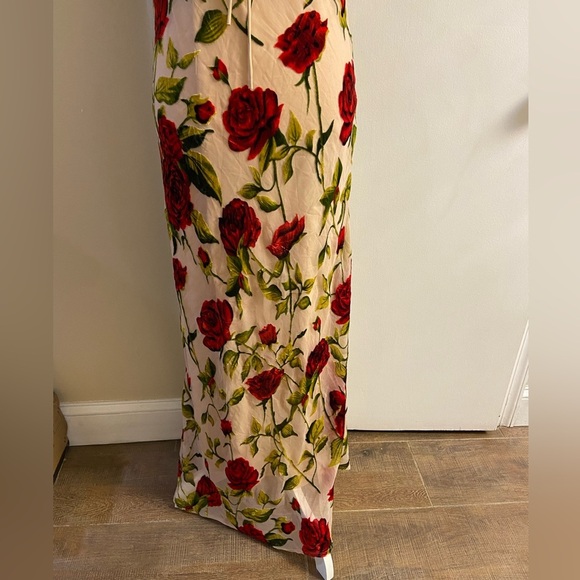 Rare London Rose Devore burnout velvet maxi dress coquette Sz 8 NWT - Picture 9 of 16
